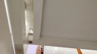 Minicuna colecho Allegra blanca