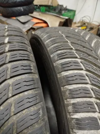 Neumáticos Nokian 4 estaciones 205/55/16