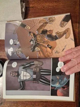 DESTRUCTOR (MARVEL MAX)