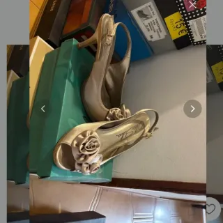 Zapatos de fiesta azul y dorado