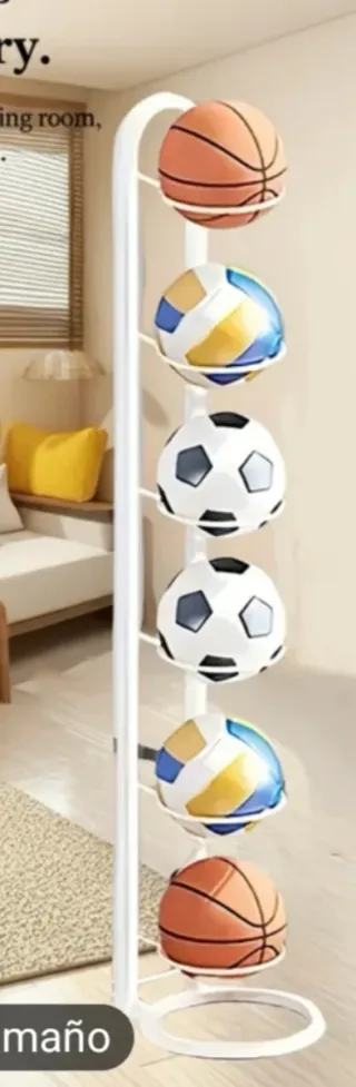 Organizzatore per Palloni Sportivi