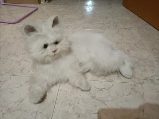 Gato de peluche blanco