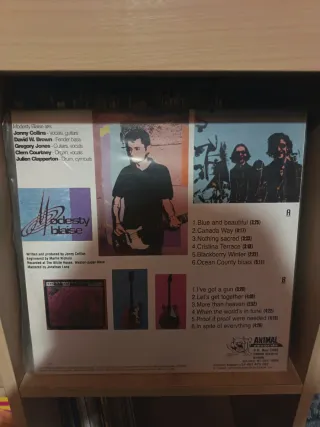 Chitarre moderne di Modesty Blaise con amplificazione