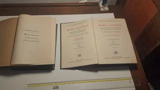 Muret-Sanders originale 1910 – Dizionario storico