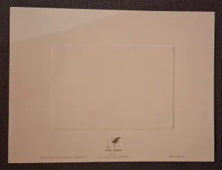 Stampa d'arte Dinard Morlaine Lutece Edition