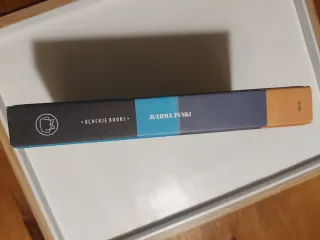 Punki: Una historia de amor