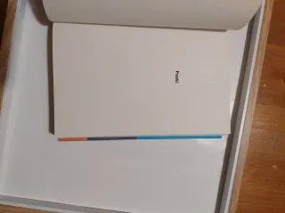 Punki: Una historia de amor