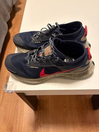 Nike Pegasus Gore-Tex Trail Talla 44.5