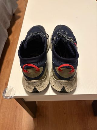 Nike Pegasus Gore-Tex Trail Talla 44.5