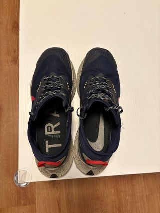 Nike Pegasus Gore-Tex Trail Talla 44.5