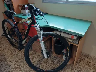 Bicicleta de Montaña