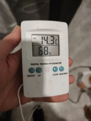 Set cultivo interior