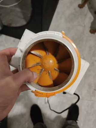 Set cultivo interior