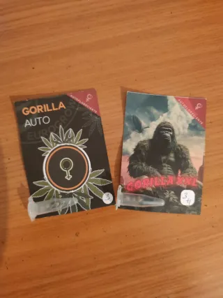 Set cultivo interior