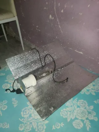 Set cultivo interior