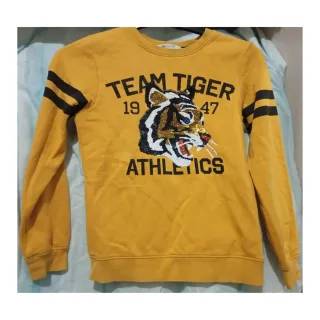 Sudadera H&M niño Team Tiger