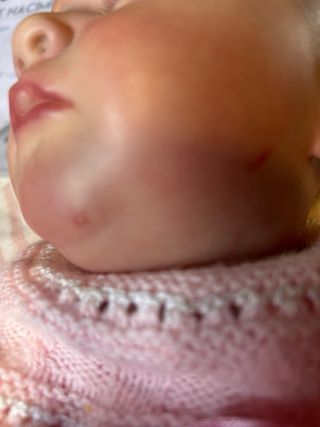 Bebé Reborn Isabel con Certificado