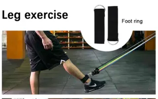 Elastici per allenamento palestra