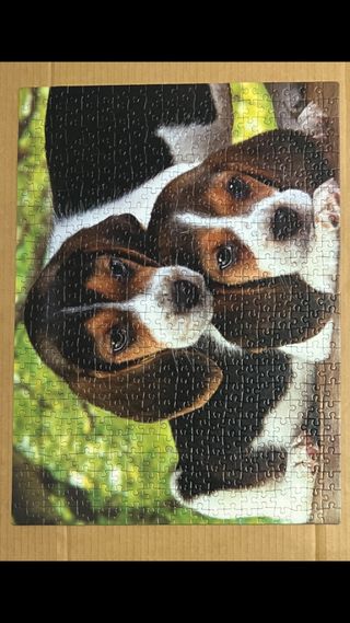 Puzzle Clementoni 500 Piezas Perritos Beagle