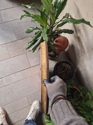 Stampa Sacro Cuore di Cristo con cornice