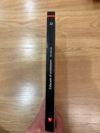 ESCARABAJO DE ORO (AULA 3)/VVIVES