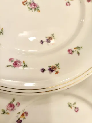 5 Platos Llanos Porcelana Limoges