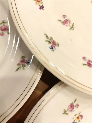 5 Platos Llanos Porcelana Limoges