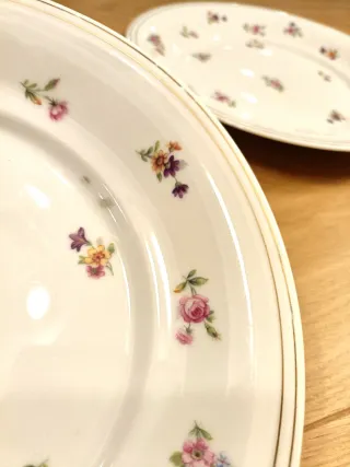 5 Platos Llanos Porcelana Limoges