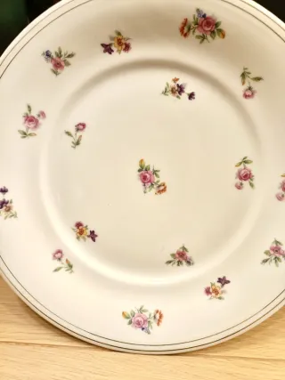 5 Platos Llanos Porcelana Limoges