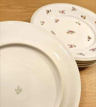 5 Platos Llanos Porcelana Limoges