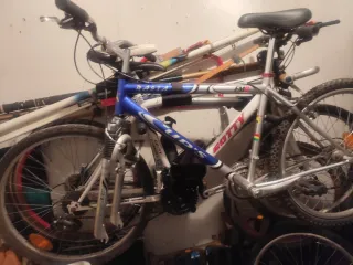 Bicicleta Rasta FM3 Gotty