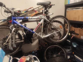 Bicicleta Rasta FM3 Gotty