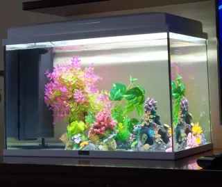 Pecera Acuario Explorer