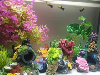 Pecera Acuario Explorer