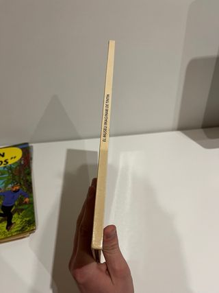 EL MUSEU IMAGINARI DE TINTIN (Spanish Edition)
