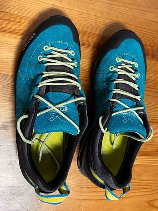 Zapatillas Salewa Mountain Trainer GTX