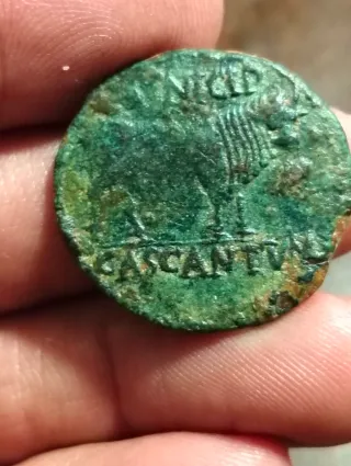 Moneda Ibero-Romana Antigua