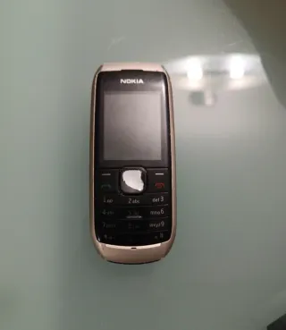 Nokia silver con caricabatterie