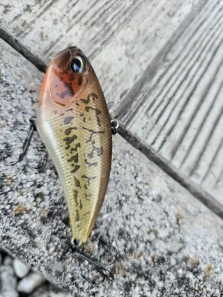 Lote 4 señuelos Lipless pesca Black Bass