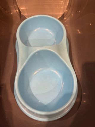 Cama para Gatos y Arenero y comedero