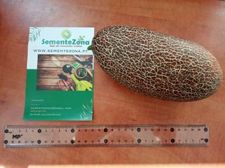 Conjunto Sementes 4 Variedades Pepinos Exóticos