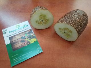 Conjunto Sementes 4 Variedades Pepinos Exóticos