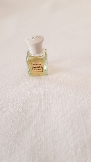 Miniature Bachs Tundra e Chape 75