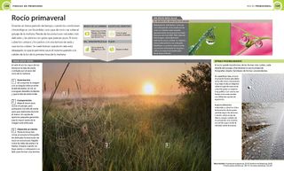 Fotografía digital las cuatro estaciones