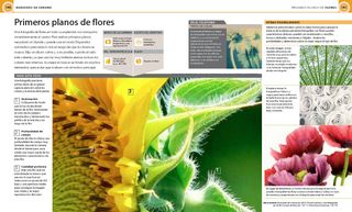 Fotografía digital las cuatro estaciones