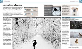 Fotografía digital las cuatro estaciones