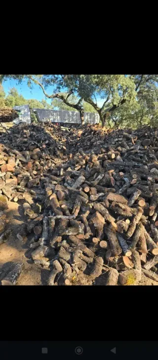 Leña de encina seca de la mejor calidad