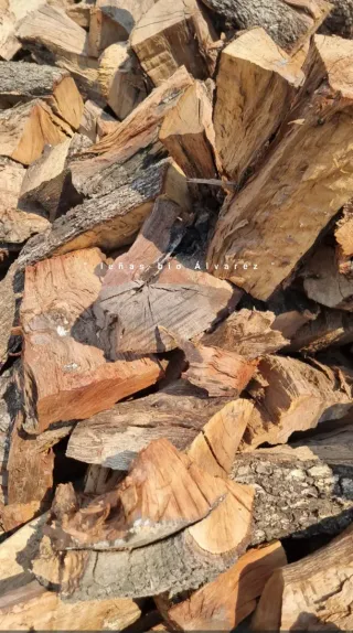 Leña de encina seca 1°calida se pesa Tlf:645699080