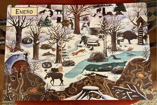 Un año en el bosque