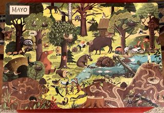 Un año en el bosque